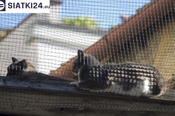 Siatki Brzeszcze - Siatka na balkony dla kota i zabezpieczenie dzieci dla terenów Brzeszcze